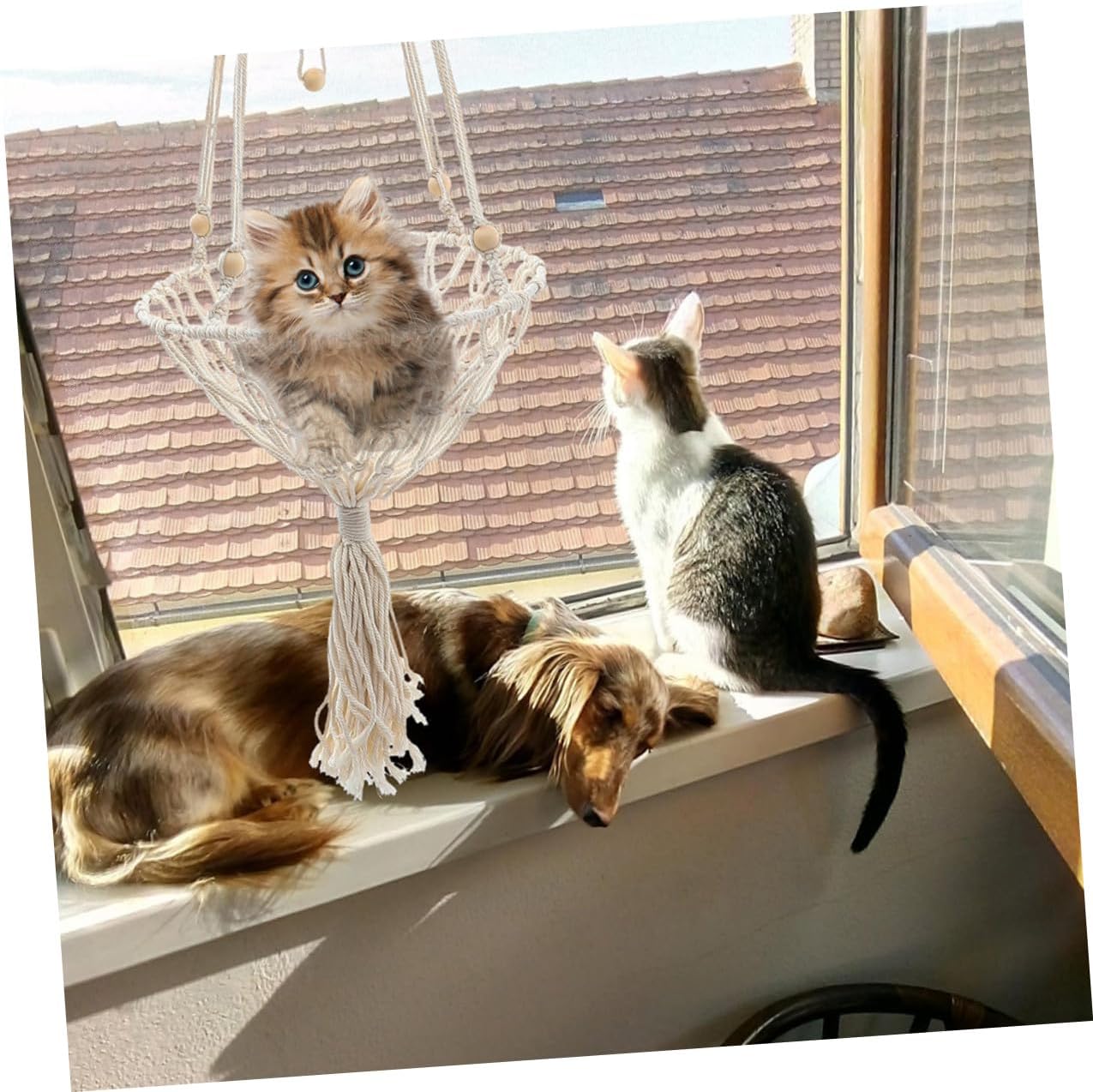 Abaodam Bohemian Macrame Cat Hammock Bed Hanging Pet Nest 40cm Woven Indoor Cat Bed 20-30lbs Kitten Accessory