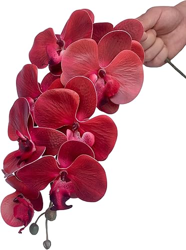 Miniatura 3 de Phalaenopsis - Flores artificiales de 32 pulgadas, 6 piezas de orquídeas artificiales con tallo para decoración del hogar (rojo)