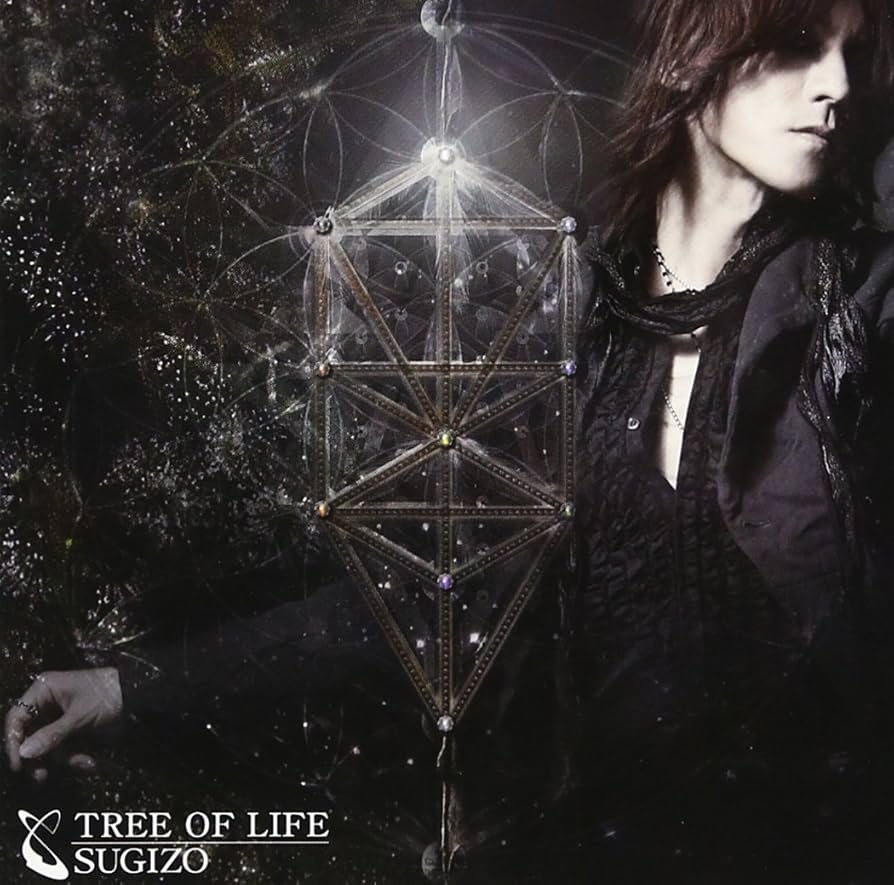 ミュージック theFLARE DVD sugizo lunasea ミュージック theFLARE DVD sugizo lunasea theFLARE DVD sugizo