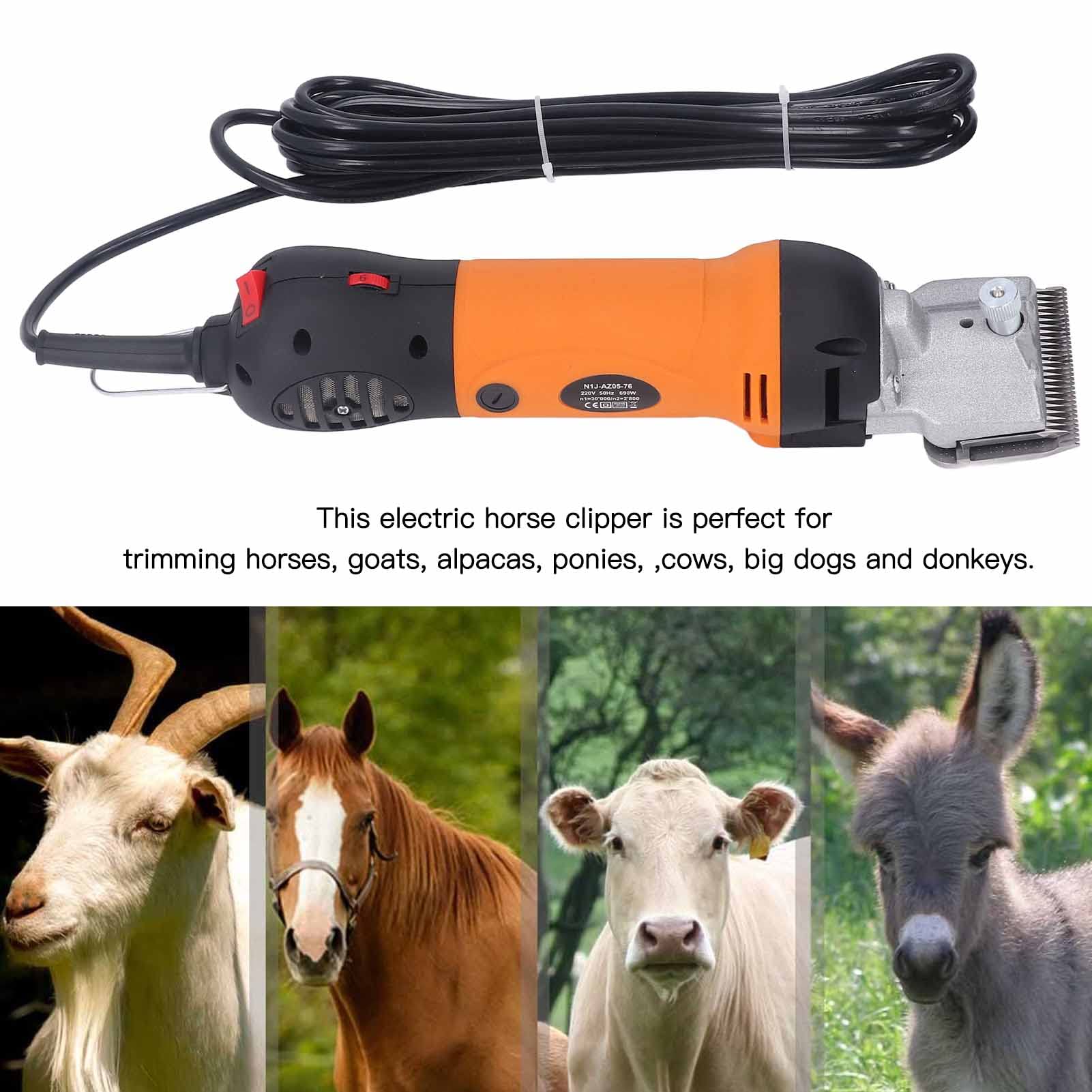 Schermaschine für Pferd Professionell, 690W & 6 Modus Regulierbar