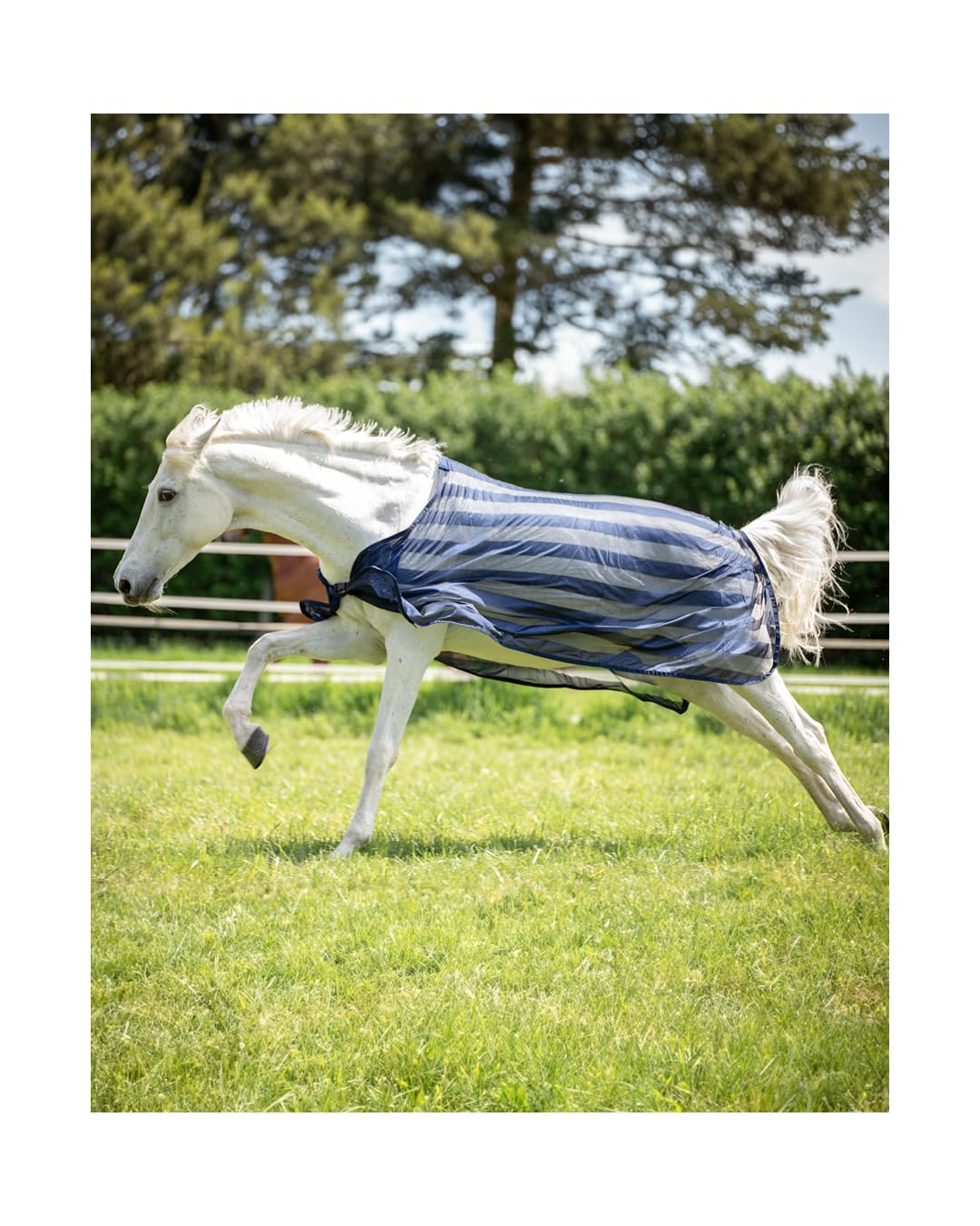 4Horses Fliegendecke Bari, leichte Pferdedecke mit Insektenschutz, Brustverschluss, Schweifriemen und angenehmem