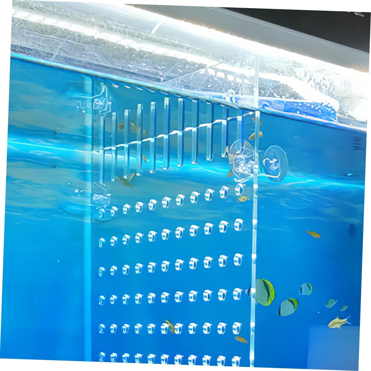 Aquarium Separator Divider Acrylic Fish Tank Isolation Plate for Fry Breeding Easy to Install Cups for Aquariums