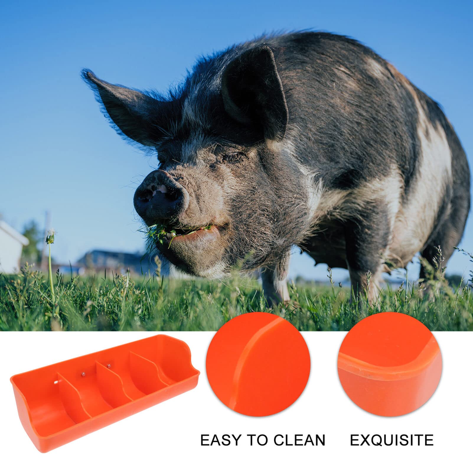 INOOMP Durevolezza Praticità Mangiatoia per Maiali in Plastica Distributore di Forniture Agricole Stili multipli
