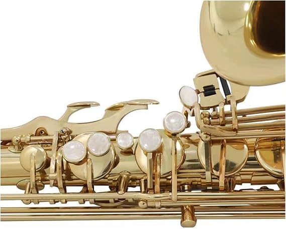 Tenor Saxophone B flat Professional instrument
