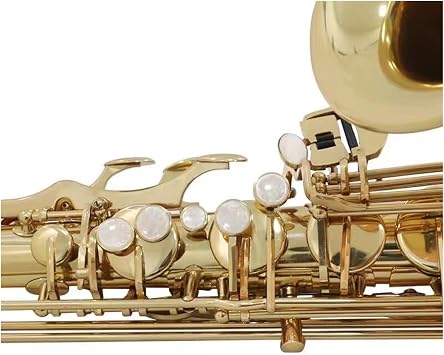 Tenor Saxophone B flat Professional instrument