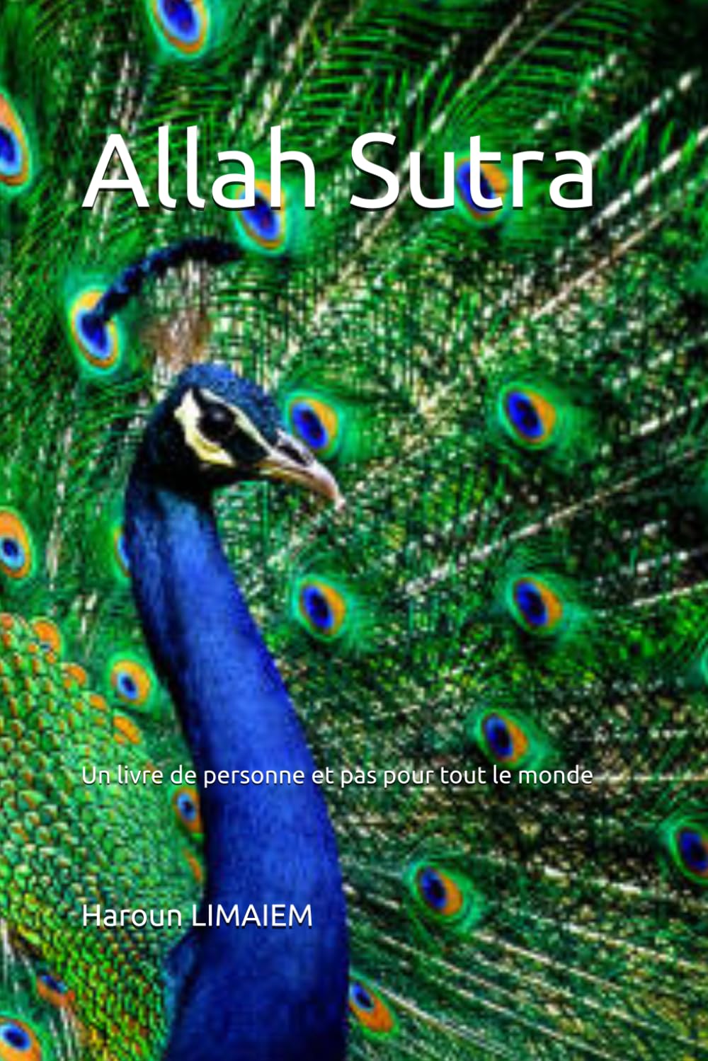 Allah Sutra: Un livre de personne et pas pour tout le monde