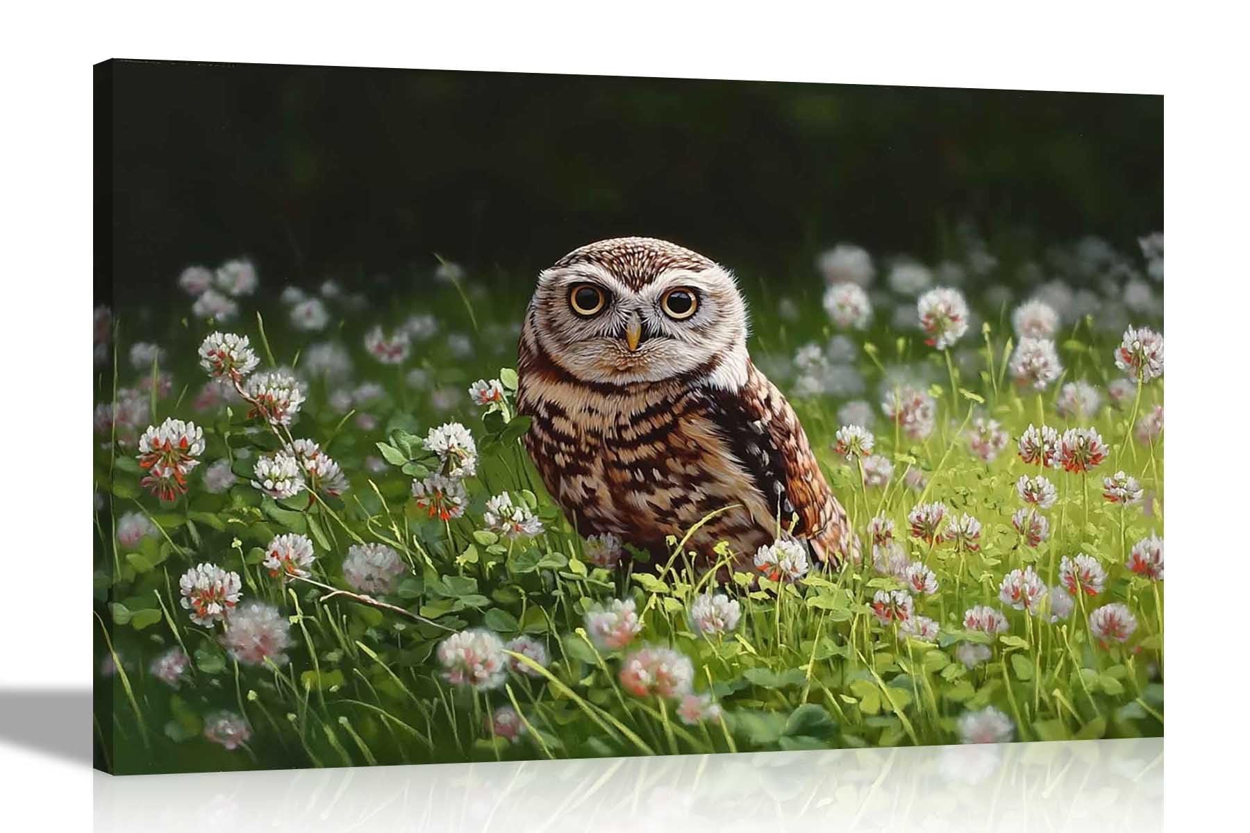 Artley Prints - Owl and Daisy Field Framed Canvas Pictures Botanical Wall Art Conservatory Oil Painting Prints Decor Large 86 x 61cm (34 x 24 inches) A1
