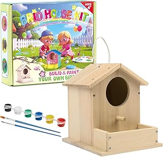 Bird House Kits for Kids Ages 4-8, Wooden DIY Birdhouse Kit, Outdoor Woodworking Crafts