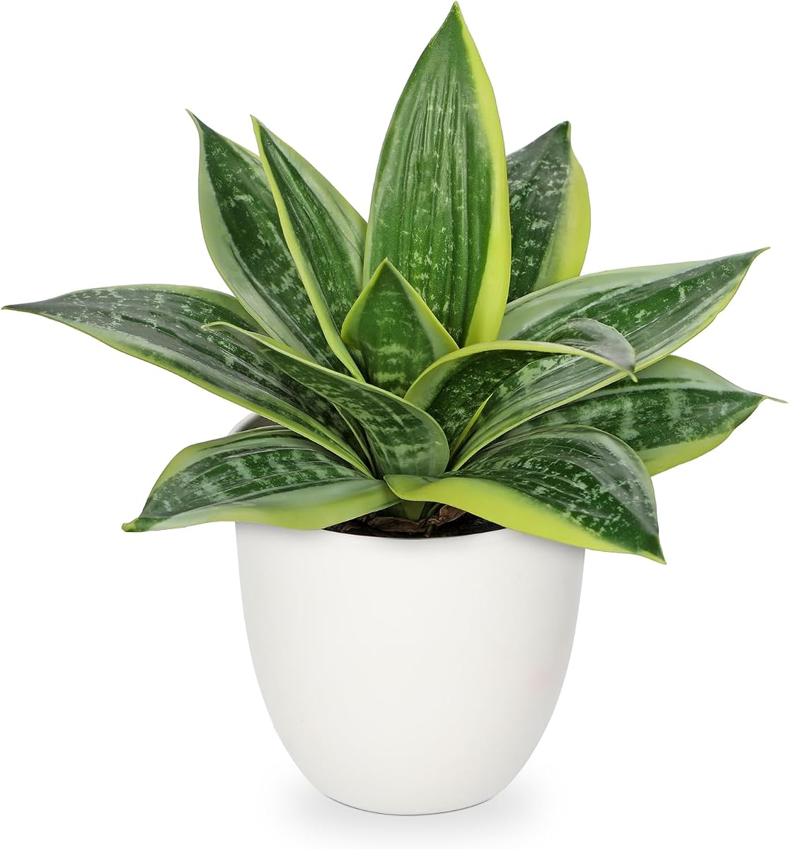 Hollyone Plantas artificiales de serpiente de 9 pulgadas, planta suculenta de agave sintético en maceta blanca, planta tropical de aloe Sansevieria falsa para escritorio, oficina moderna, hogar, baño, decoración interior y exterior