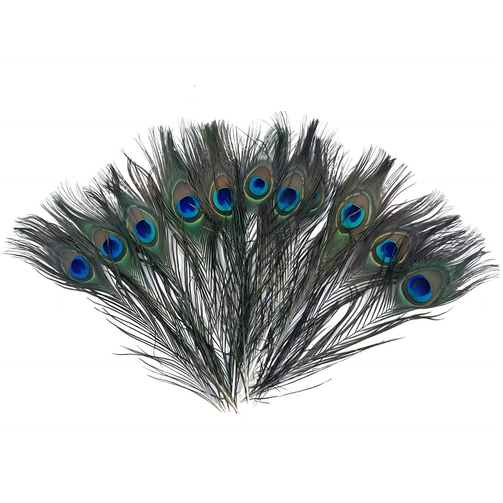 LEBKFT Peacock Feathers 15 Pcs Natural Real Peacock Eye Feathers 25-30 cm Green Peacock Tail Feather For Wedding Party Holiday and Home Decoration and Carnival Revelry Masquerade Costume