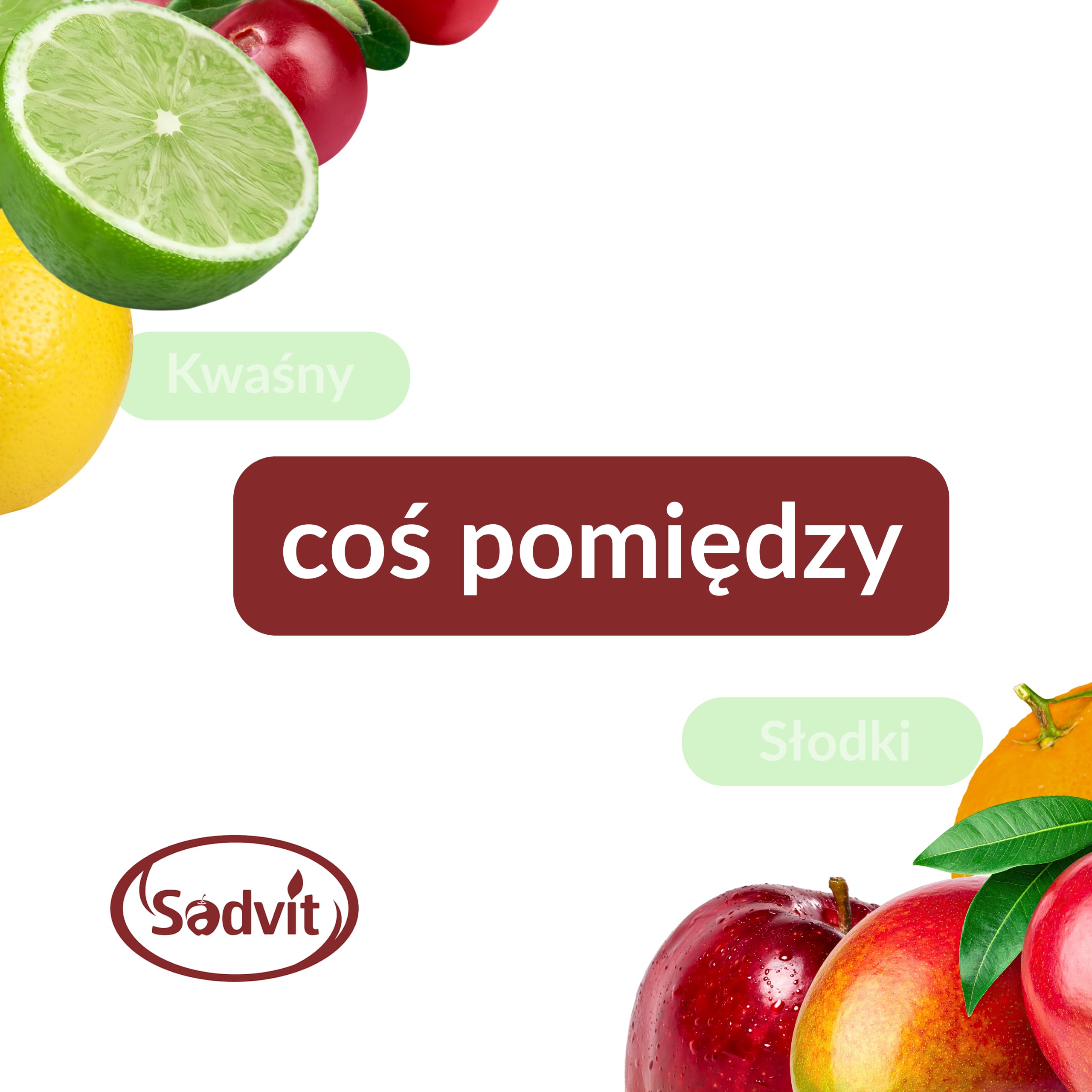 Sadvit | Kwiatowy Sok z Czarnego Bzu nie z koncentratu | 1,5L Bag in Box Sok owocowy NFC | Tłoczony Kwiatowy Intensywny | Bez Cukru i Konserwantów | Do Herbat i Naparów | Źródło Antocyjanów i Witamin