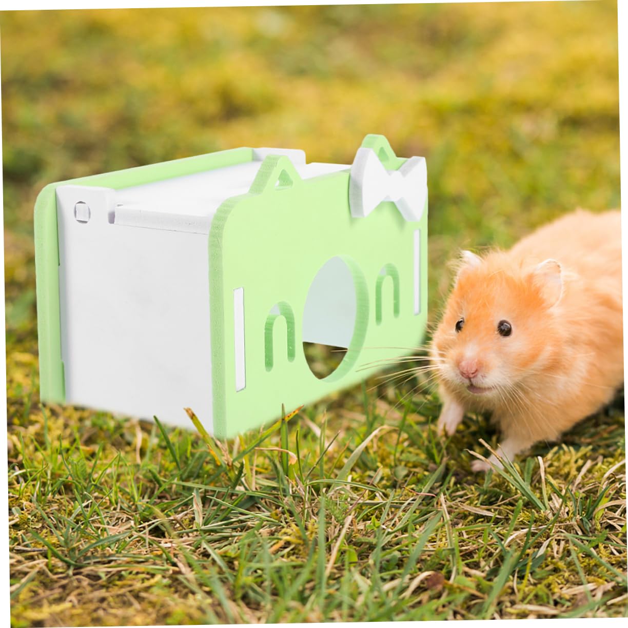 BESPORTBLE 8stücke Meerschweinchen Versteckhaus Hamster-Hideout Chinchilla Schlafplatz Material Bunte Dekoration Für Kleintiere Sicher Und Langlebig