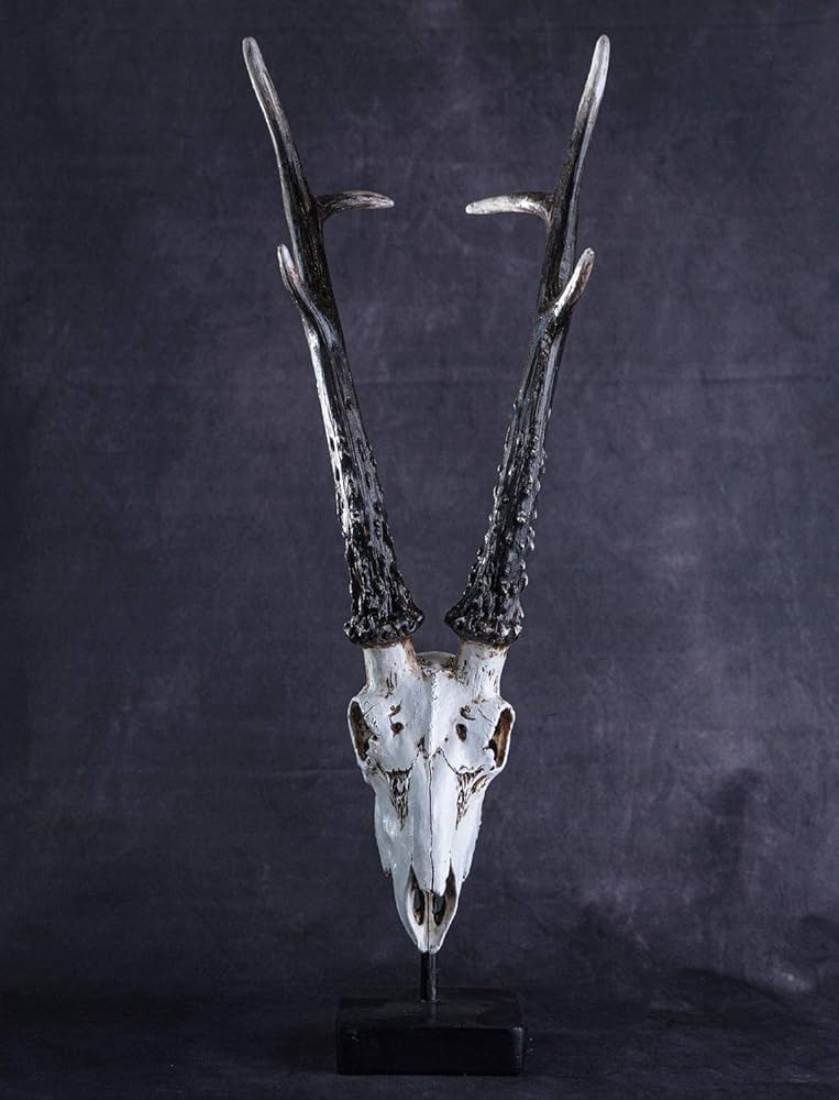 鹿の頭骨置物 全長約77cm 鹿の頭骨置物 全長約77cm 71r-qm2ysBL._UF894,1000_QL80_.jpg