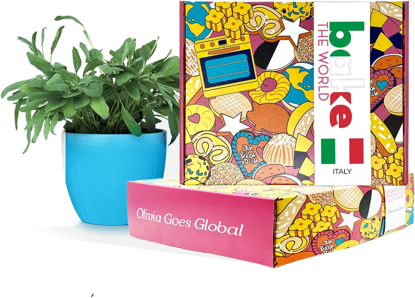 Italian Baking Kit with Masterclass Access Code - Bake the World Bakery Tools Kit