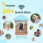 NETVUE by Birdfy Smart Bird Feeder with AI Camera Solar Powered, 2MP Wireless Wildbird Watching, Live Stream & Night Vision, Auto-Capture & Notify, Collection & Cloud Storage (AI by Subscription)
