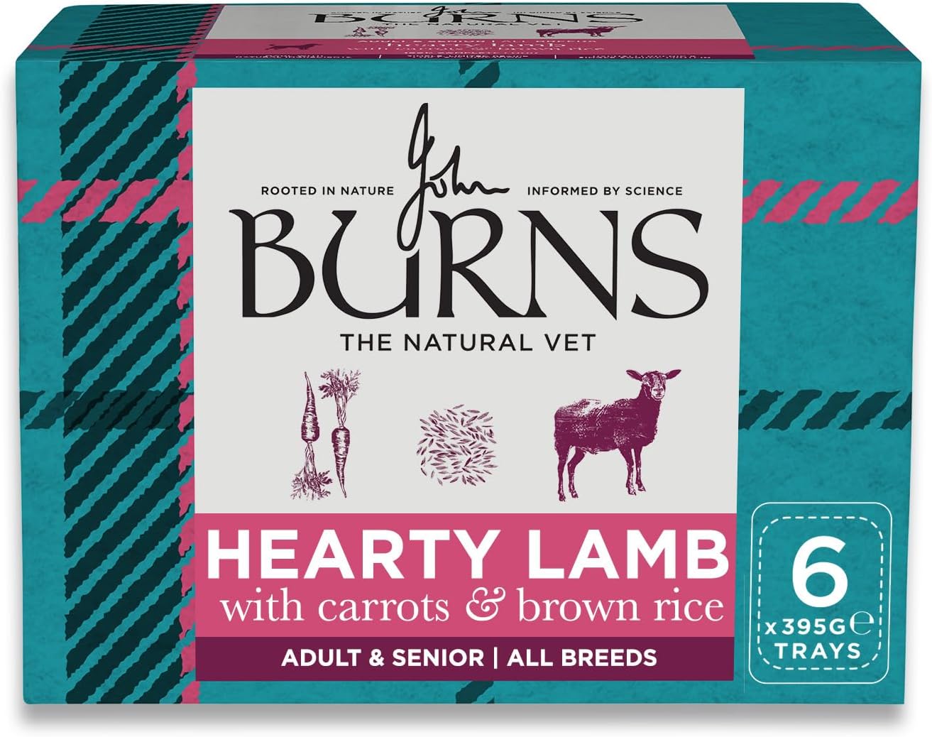 Burns Wet Dog Food - Hearty Lamb with Carrots and Brown Rice - Adult & Senior - 16 x 395g - Made with Natural Ingredients - Hypoallergenic - Single Source Protein - Simple, Limited Recipe