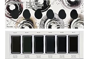 Kuretake ZIG Clean Color Real Brush 6 Colors Manga Markers Black Set