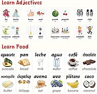 Vista 5 de Ceiba Tree Tarjetas Didácticas en Español 100 Frases de Conjugación de Verbos de Inglés a Español Adjetivos Colores Tarjetas Didácticas Educativas