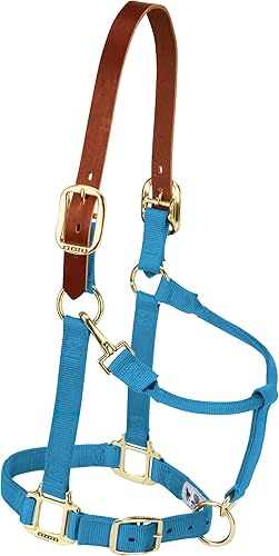 Miniatura 24 de Weaver Leather Basic Non-Adjustable Nylon Horse Halter marino