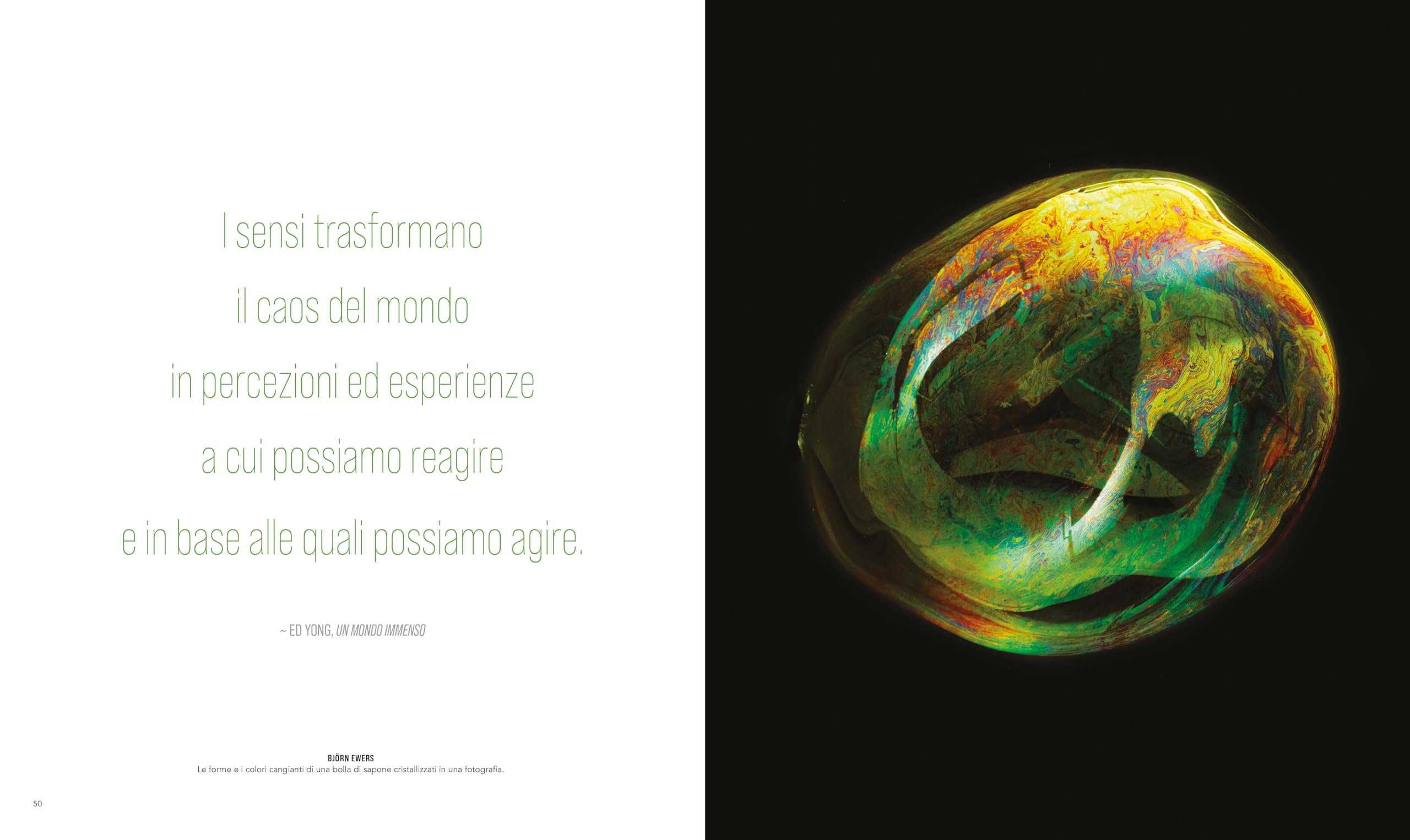 Il mondo dall'alto. Ediz. a colori