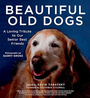 Beautiful Old Dogs A Loving Tribute to Our Senior Best Friends