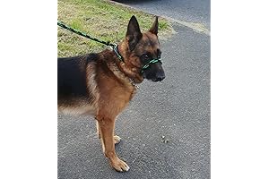 Duo Lead Figure 8 Slip Lead for Large Dogs