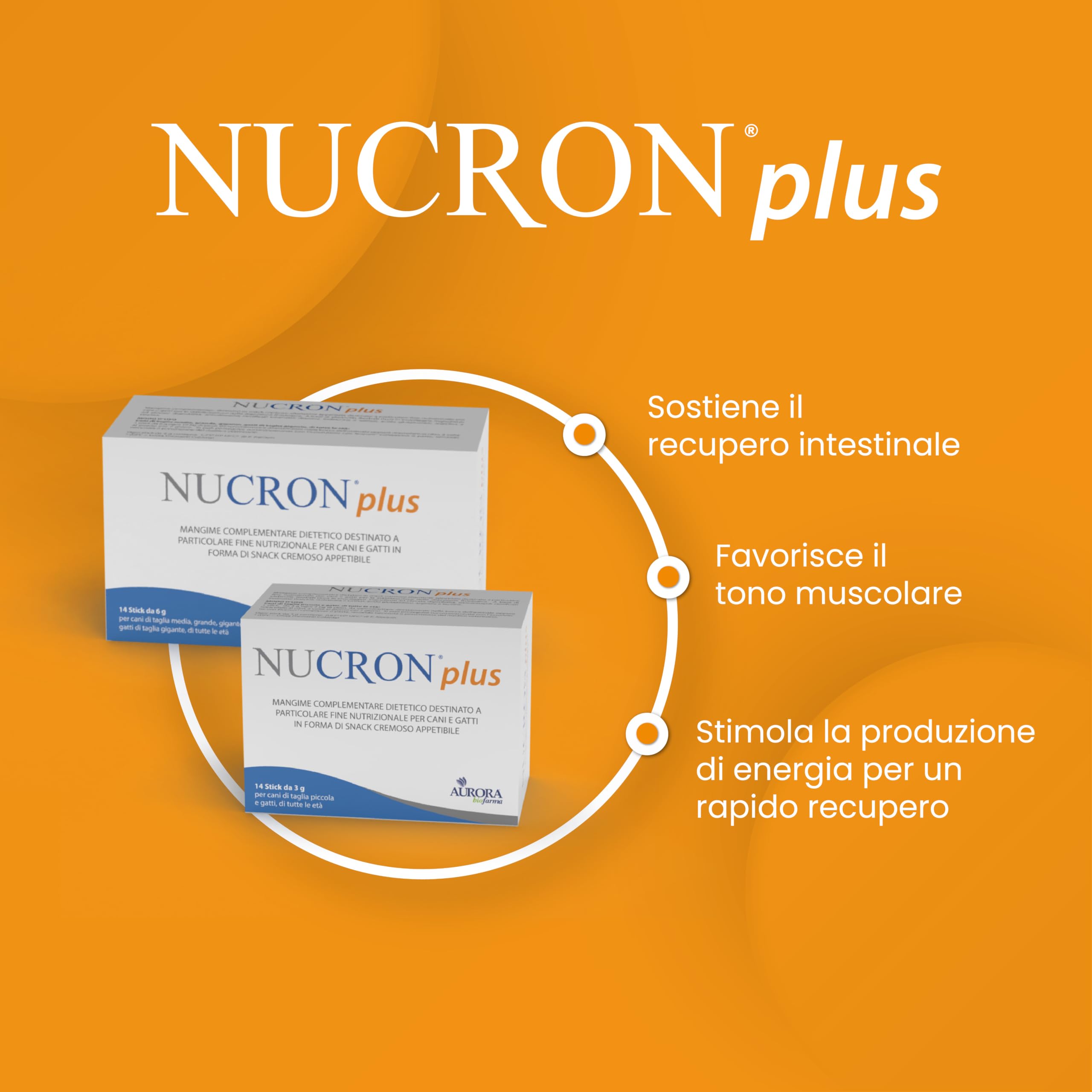 Nucron Plus Mangime Complementare per Gatti e Cani Piccoli, 14 Stick da 3g | Aminoacidi ramificati, arginina, taurina, baobab, probiotico e vitamine B. 1 stick 2 volte al giorno da 10 a 20 kg.