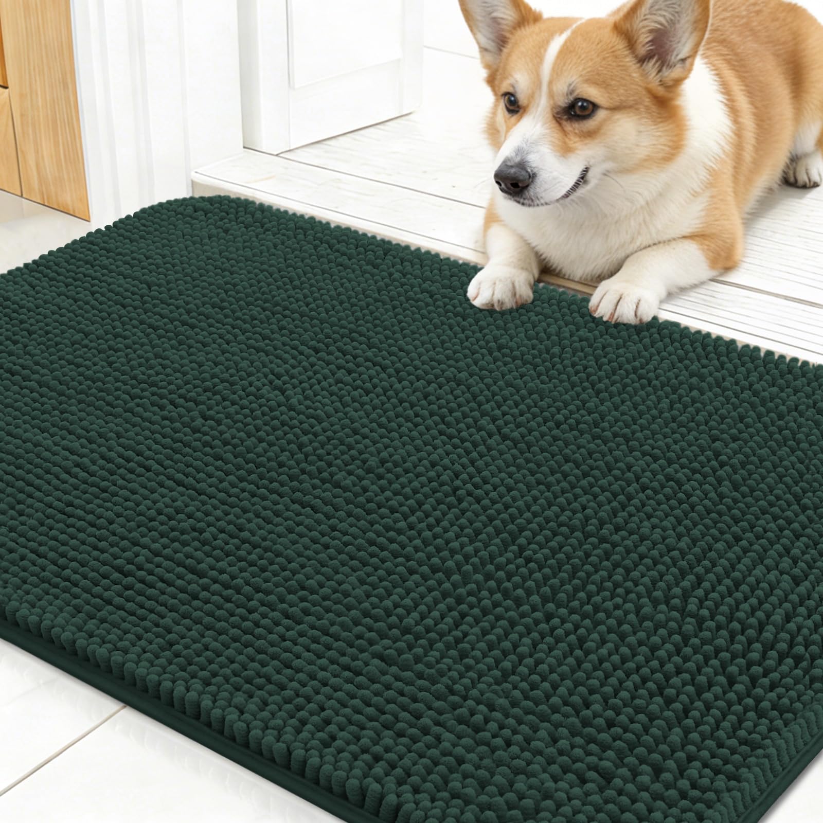 OLANLY Dog Door Mat for Muddy Paws 24x16, Super Absorbent Chenille Mud Mat โ image 1