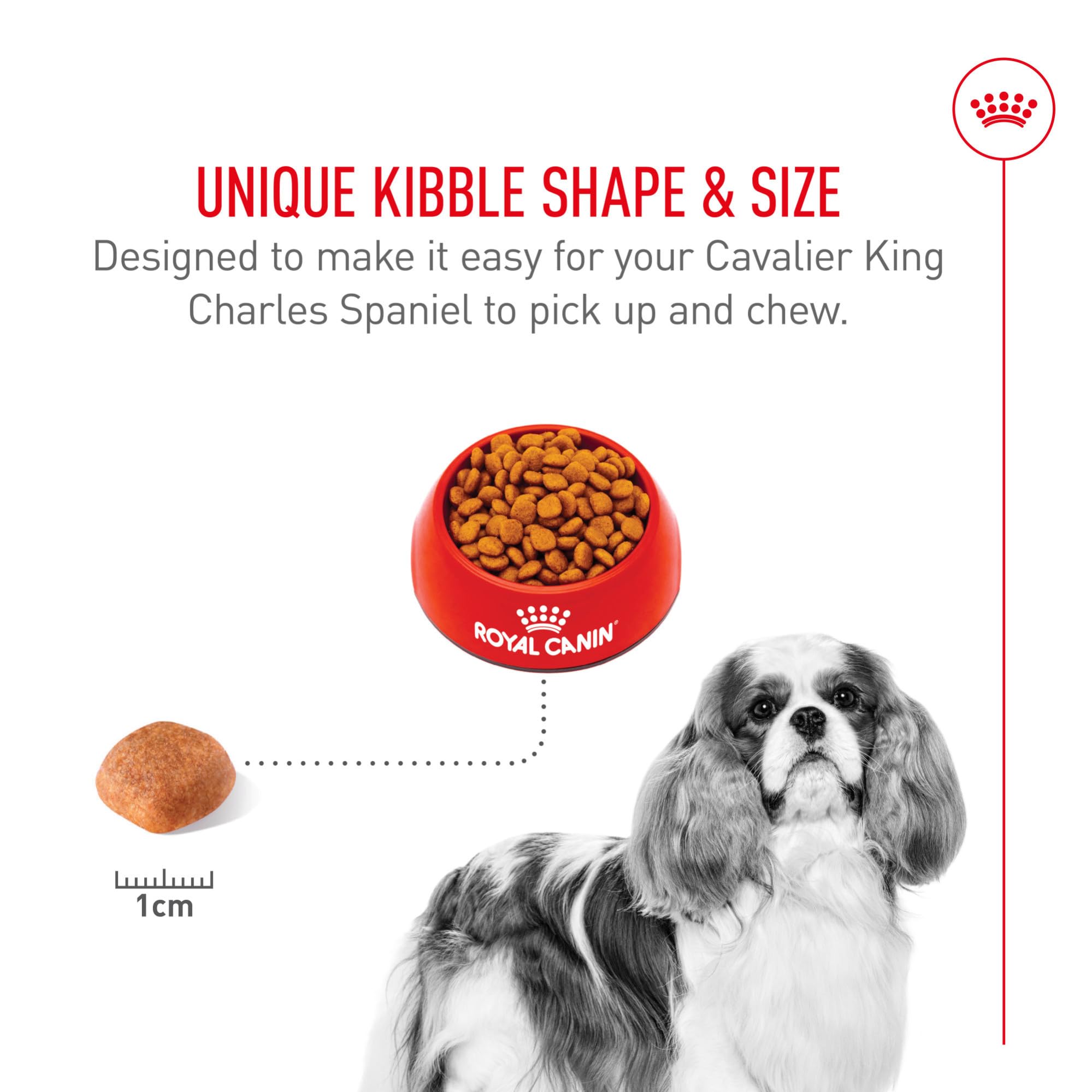 ROYAL CANIN Cavalier King Charles Adult Dry Dog Food 10 lb Bag | Heart Health Weigth Management Coat Health For Adult Cavalier King Charles Spaniel Specialized Kibble for Easy Pickup product thumbnail 6
