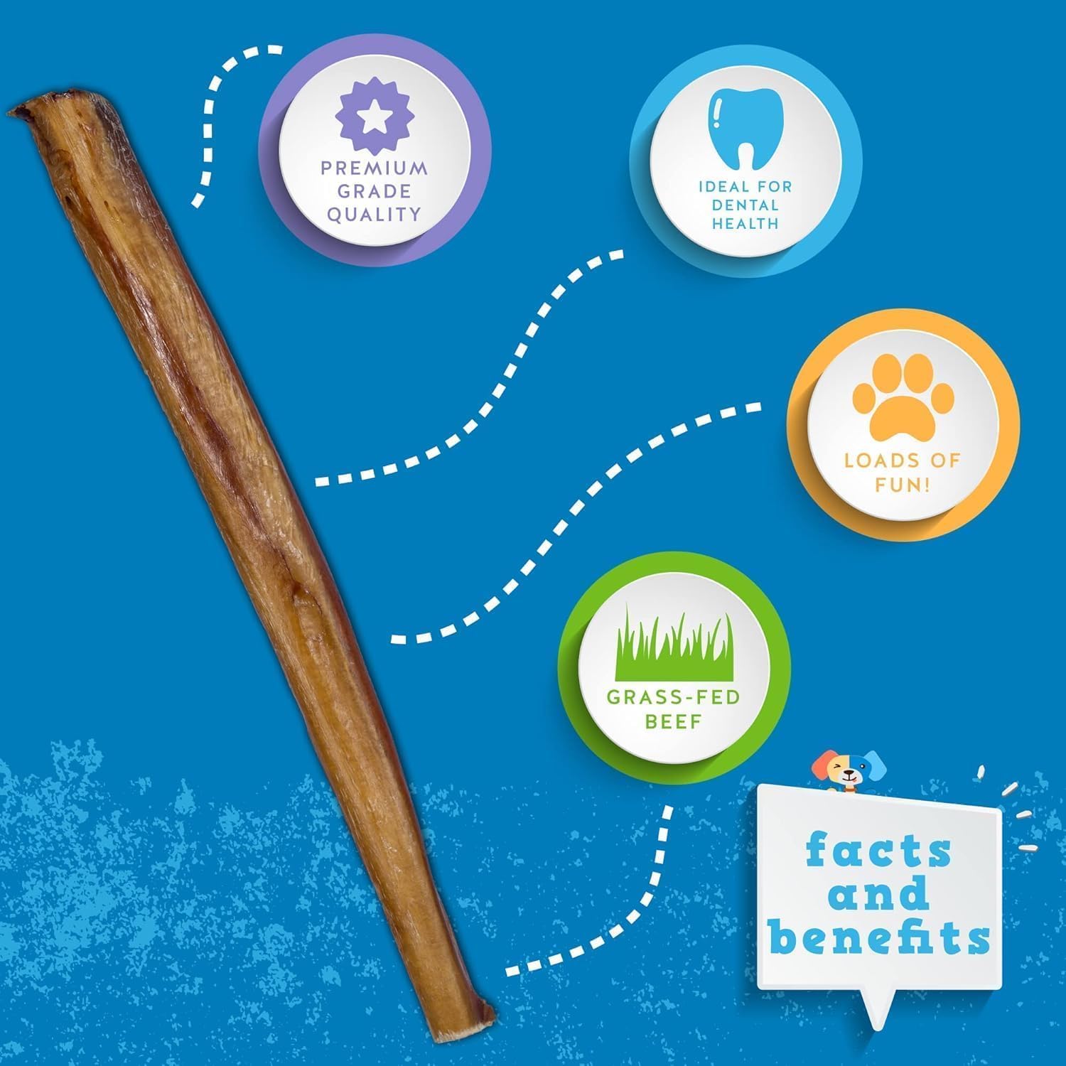 Jack&Pup 36 Inch Bully Sticks for Large Dogs (1 Pack) Giant Odor Free Bully Sticks for Dogs- 3 Feet Long- All Natural, Long Lasting Dog Chews