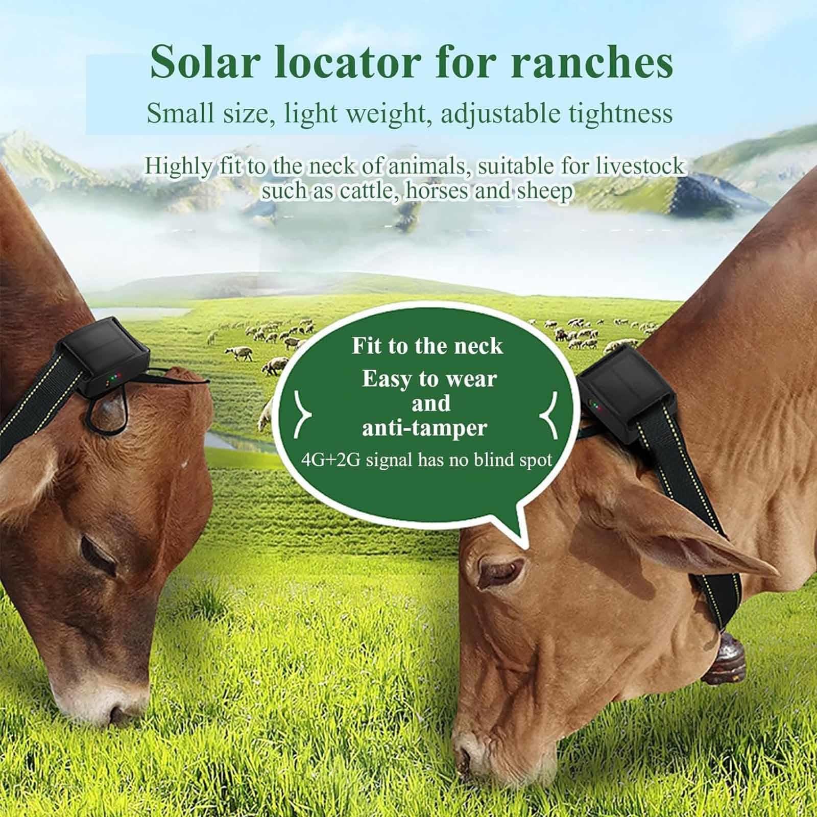 Rastreador solar GPS para ganado, seguimiento en tiempo real y reproducción histórica, batería de gran duración, dispositivo antipérdida para ganado, caballos, cabras