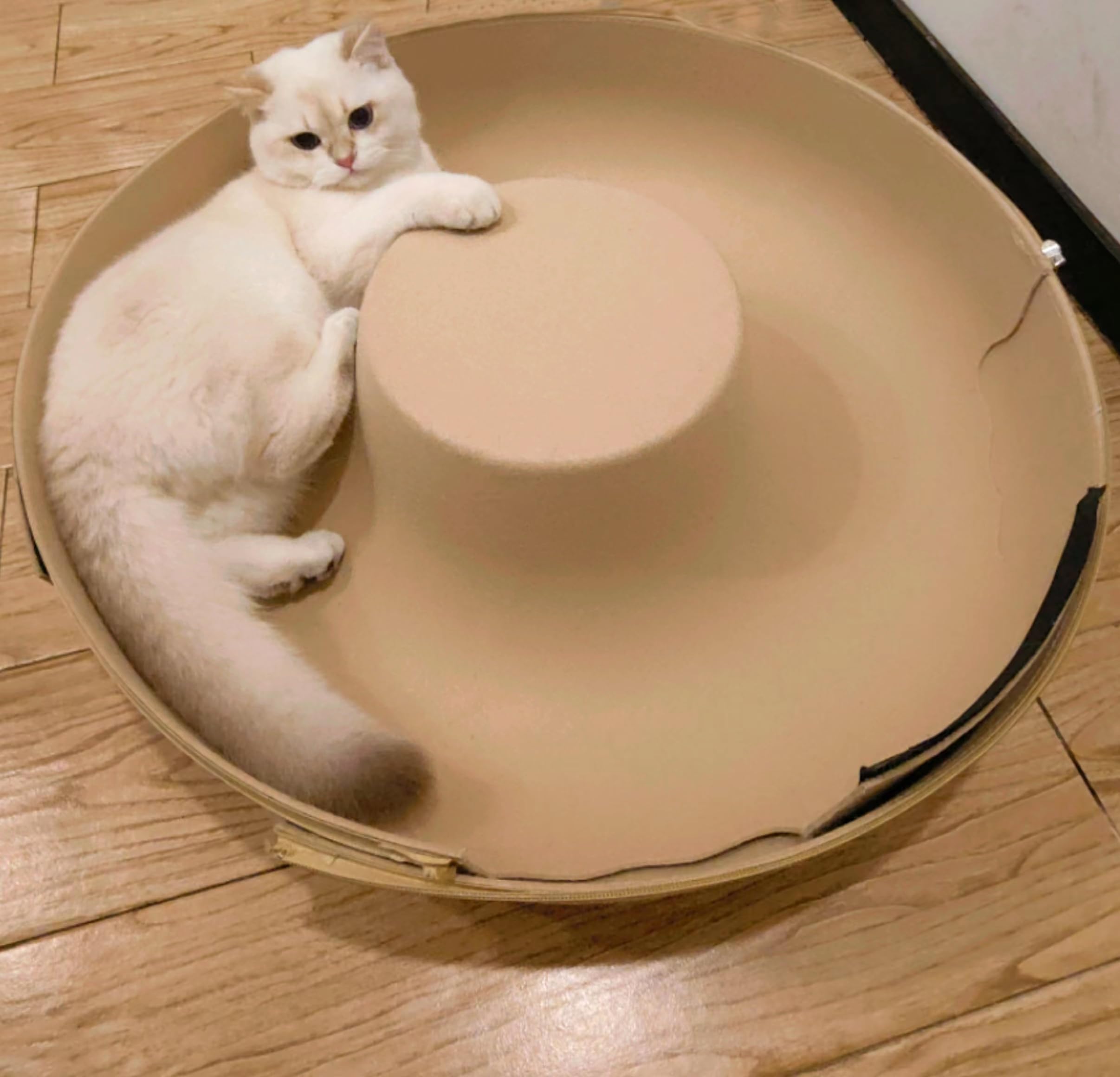 Amazon | 【金曜日の猫】 猫用ベッド フエルト製 ドーナツ ドーム型