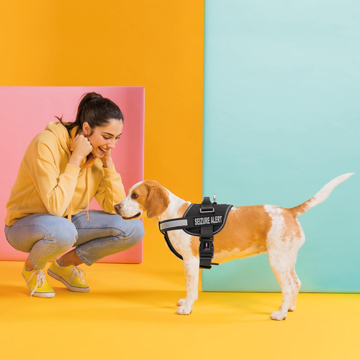 Dogline Unimax Multi-Purpose Vest Harness for Dogs and 2 Removable Seizure Alert Patches, Small, Black