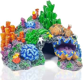 シャコガイ 貝殻 オウギガイ 置物 玄関 アクアリウム 水槽 庭 鉢 観葉植物 シャコガイ 貝殻 オウギガイ 置物 玄関 アクアリウム 水槽 庭 鉢
