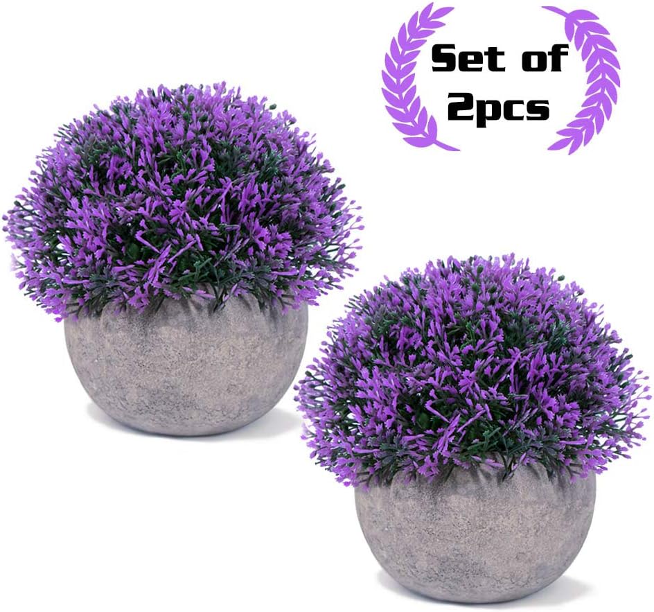 Mintime Small Mini Artificial Fake Plants for Home/Office/Living Room Decoration, 2 pcs Plastic Purple Grass Potted Plants (2 Years Warranty)