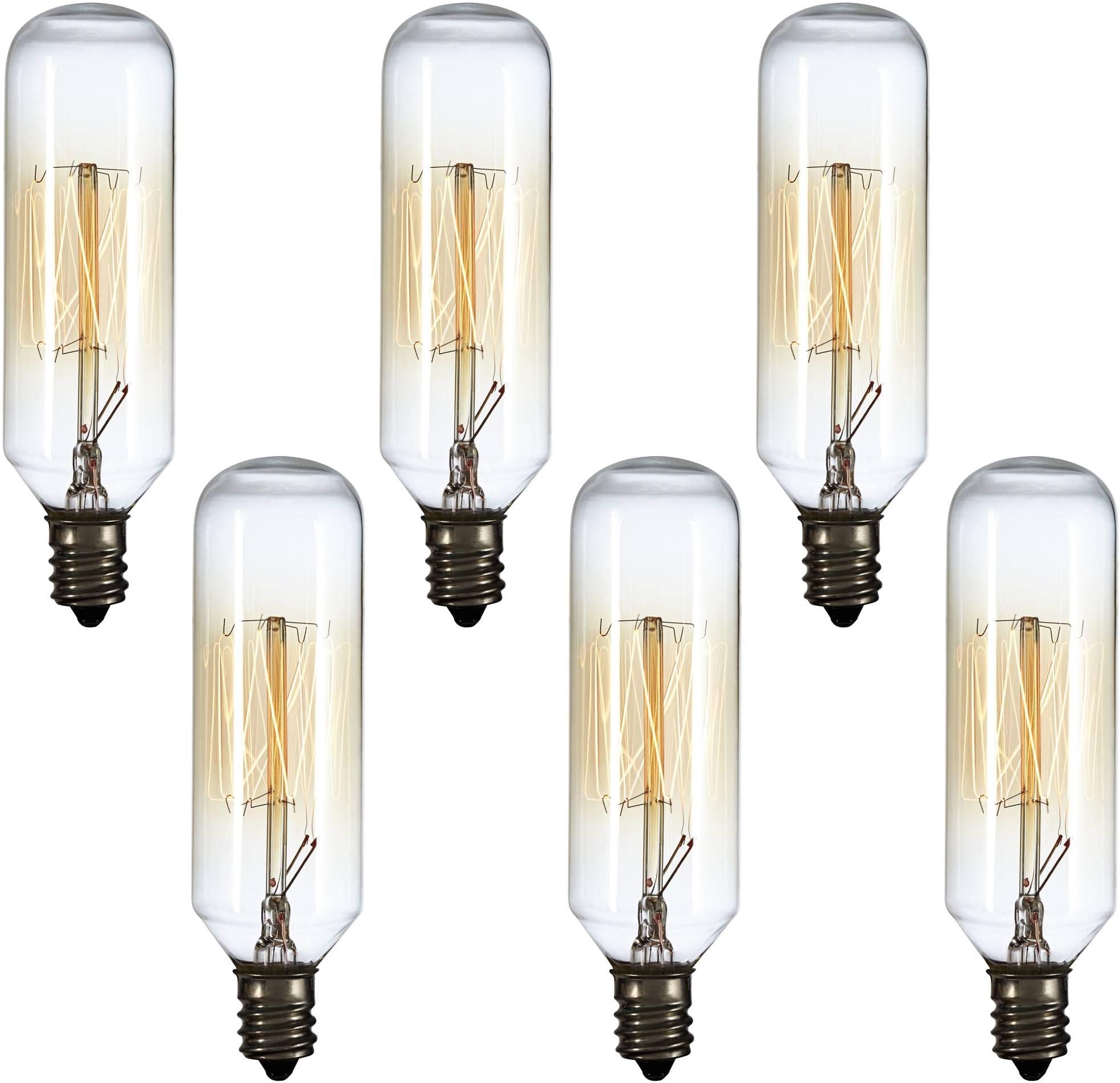 Tesler 6-Pack 60 Watt T8 Edison Style Candelabra Tube Light Bulbs