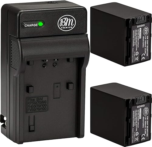 BM Premium 2 baterías y cargador NP-FV100A de alta capacidad para Sony FDR-AX30 FDR-AX33 FDR-AX53 FDR-AX700 FDR-AX100 FDR-AX35 HXR-MC50 HXR-MC88