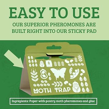 Professor Killamoth Superior Pantry Moth Traps 6-Pack with Pheromones Prime | No Insecticides | Safe, Non-Toxic and Child and Pet Friendly Pantry Protection | Superior Attractant