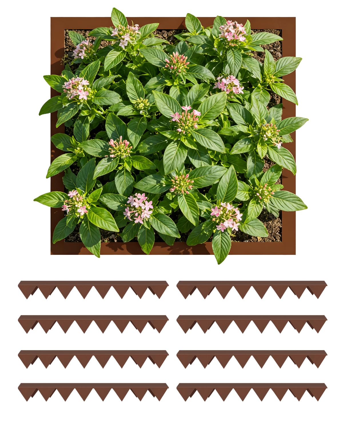 Bellanny Lawn Edging | Metal Garden Edging Border | 8Pcs Pre-Rusted Galvanised Steel Pathway Edge Strip - Landscape Border for Trees, Flower Bed, Grass, Plants, Driveway, Yard (Corten, 53.7×9.7×5cm) — image 1