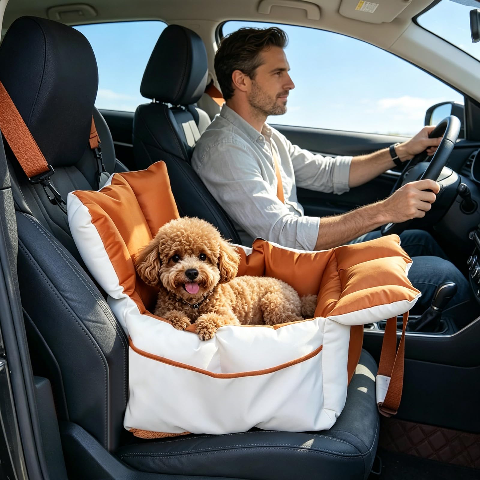 Ergocar Mascotas Asiento para Coche con Consola Central Tejido Oxford Impermeable Resistente Al Desgaste y Que No Atrapa El Pelo Respaldo Ajustable Cinturón De Seguridad Doble Capa Asiento Elevado