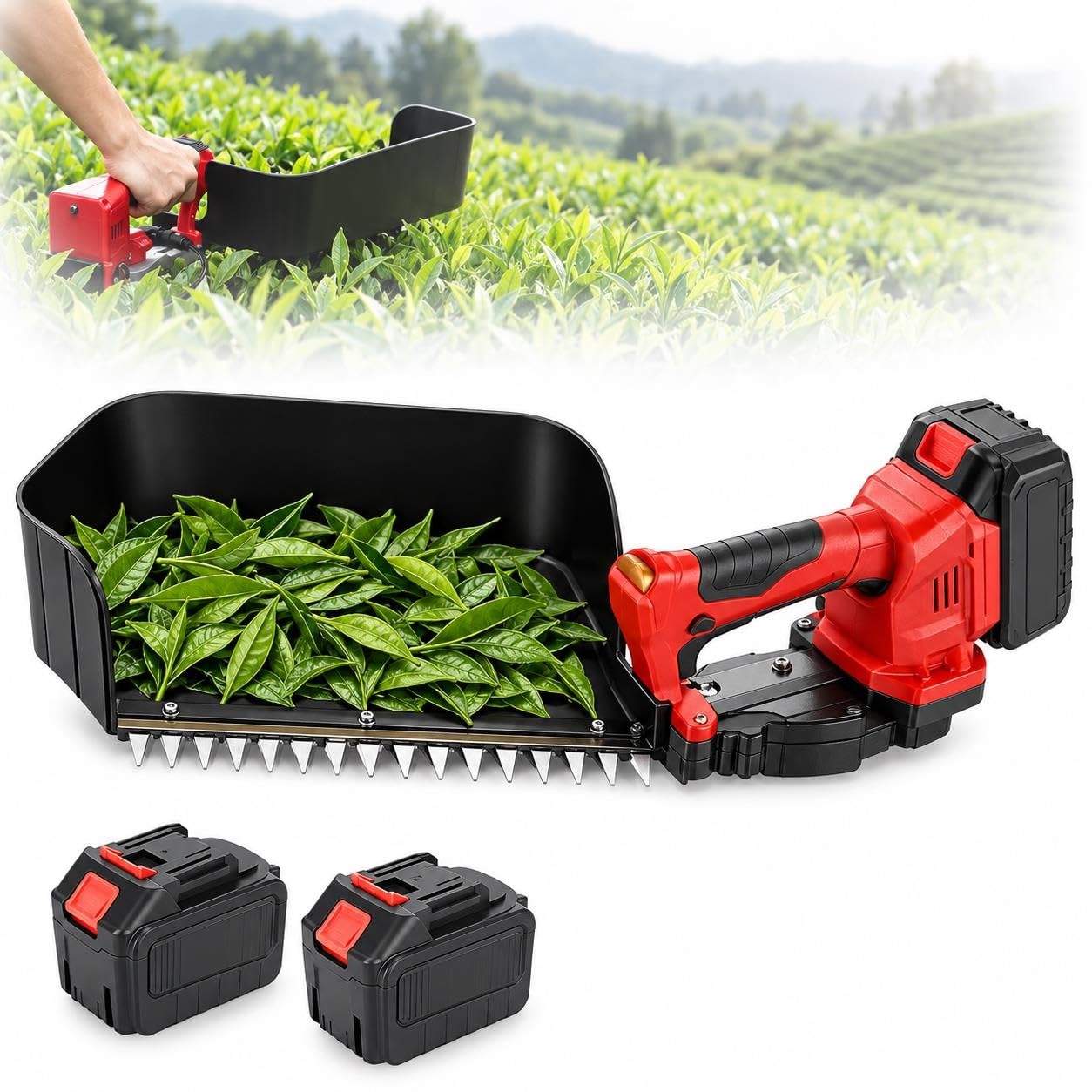 Recogedor De Hojas De Té Portátil, Cosechador De Té De Doble Batería