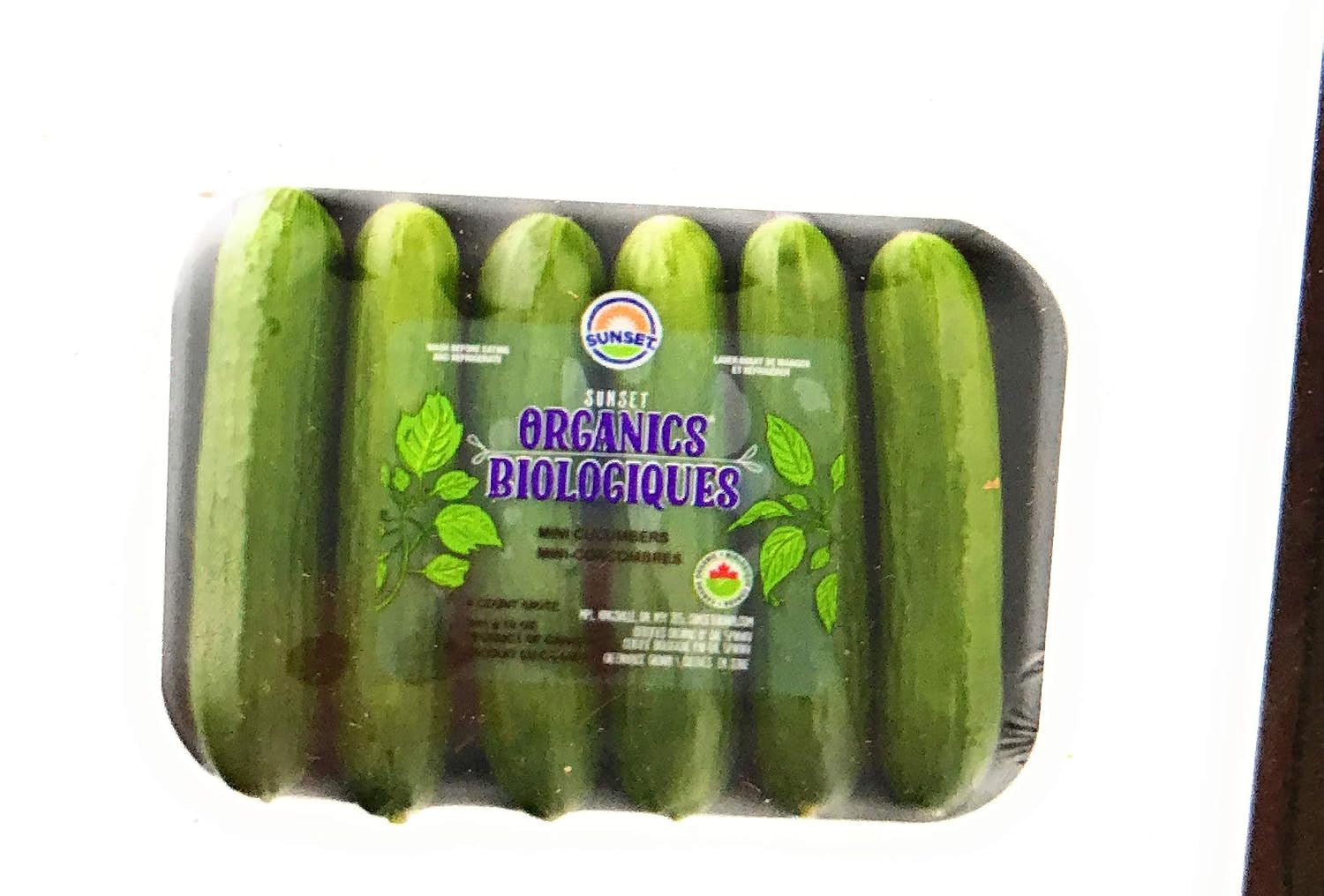 Cucumber Mini Organic, 14 Ounce