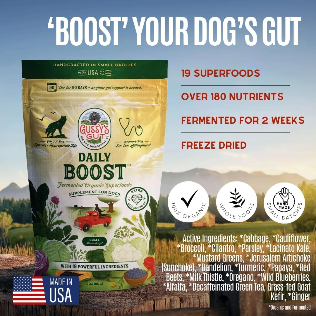 Gussy's Gut Fermented Superfood Reset & Reward Bundle