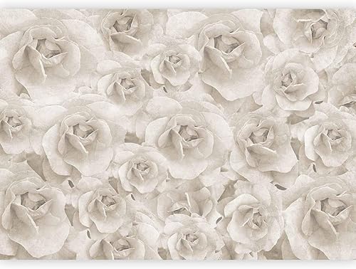 artgeist Mural de pared Efecto 3D de Rosas, 154 x 110 pulgadas, papel tapiz autoadhesivo extraíble grande, diseño de impresión de pared, diseño de