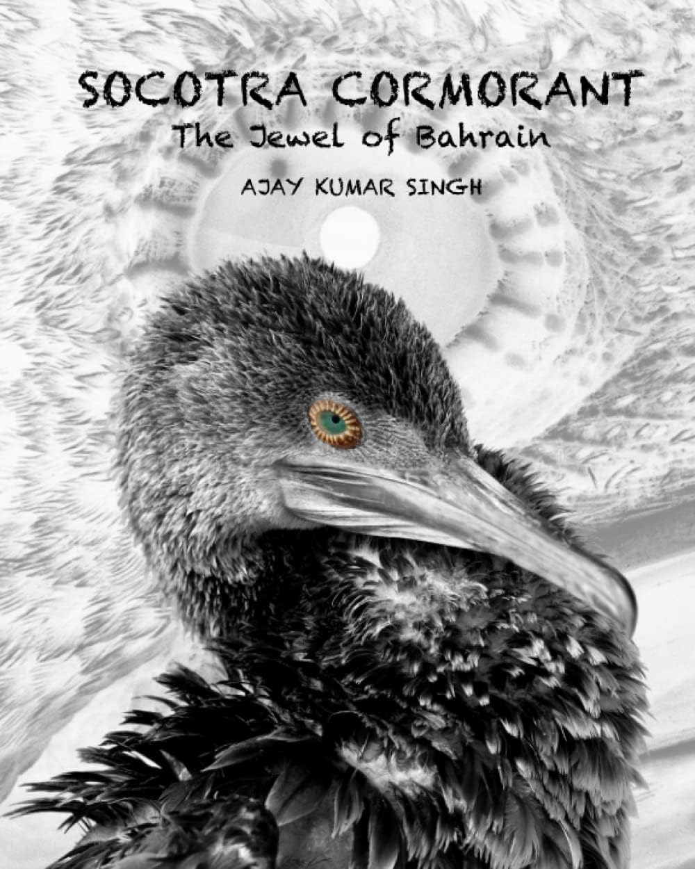 SOCOTRA CORMORANT: The Jewel of Bahrain
