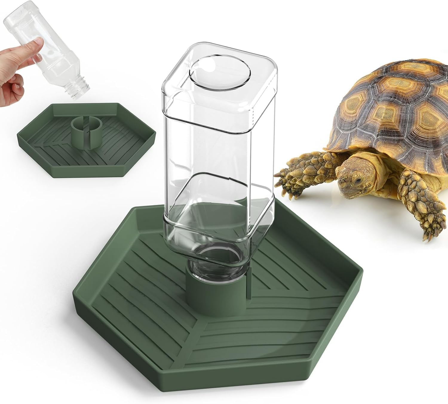 Reptile Water Dispenser Bowl for Bearded Dragon Tortoise(Grey Green L)