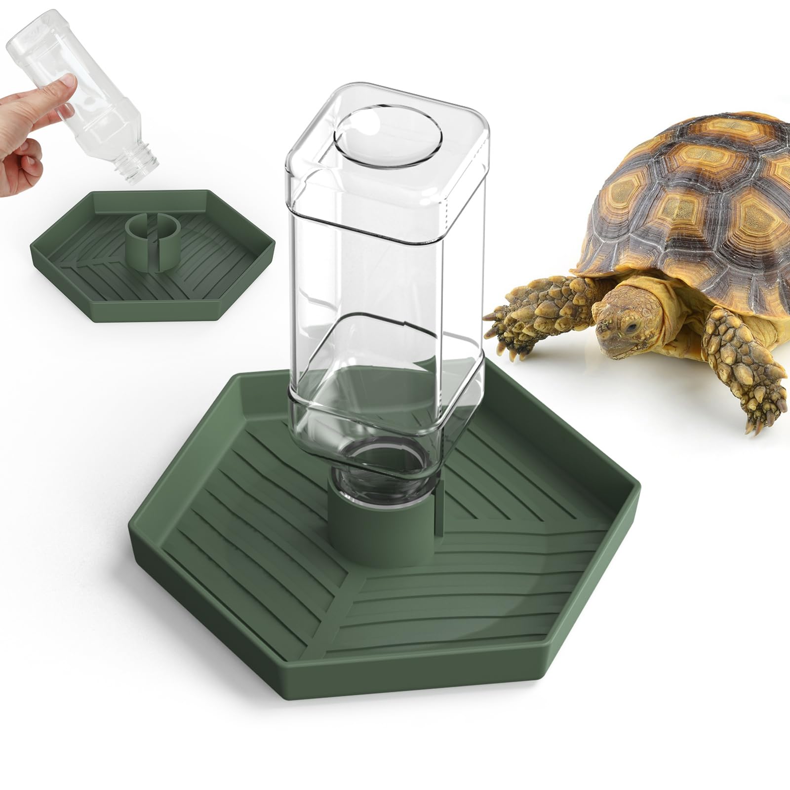 Reptile Water Dispenser-Bearded Dragon Water Bowl - Small Water Dish for Tortoise - Bowls for Reptiles & Amphibians (L)