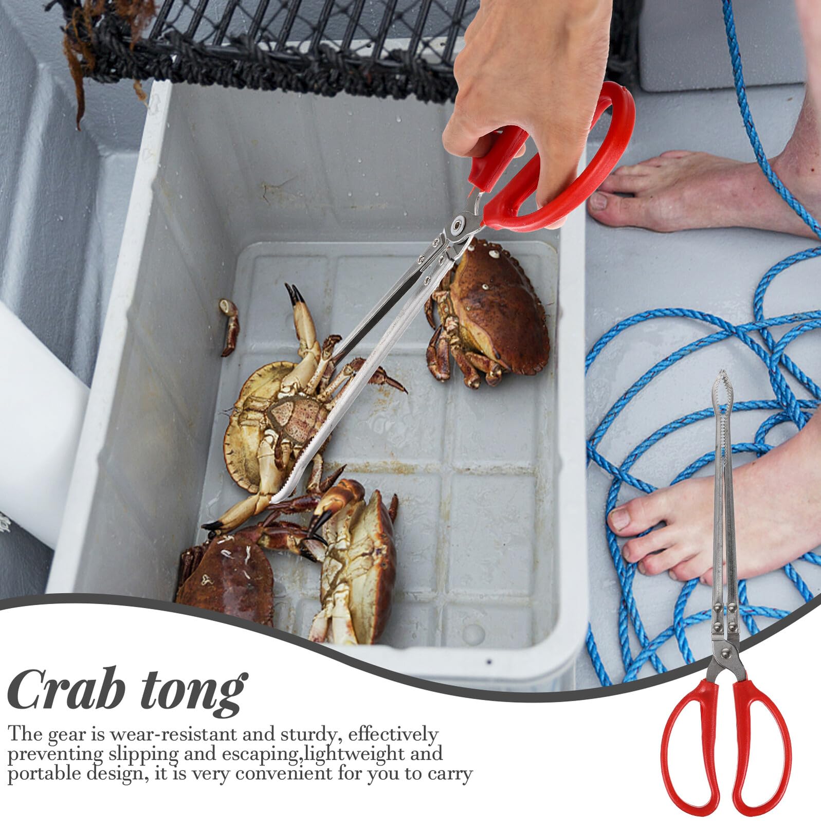 Pinzas para Pesca de Acero Inoxidable Antideslizantes y Resistentes Clip Multifunción para Atrapar Cangrejos y Capturar Peces en Acuarios y Mar