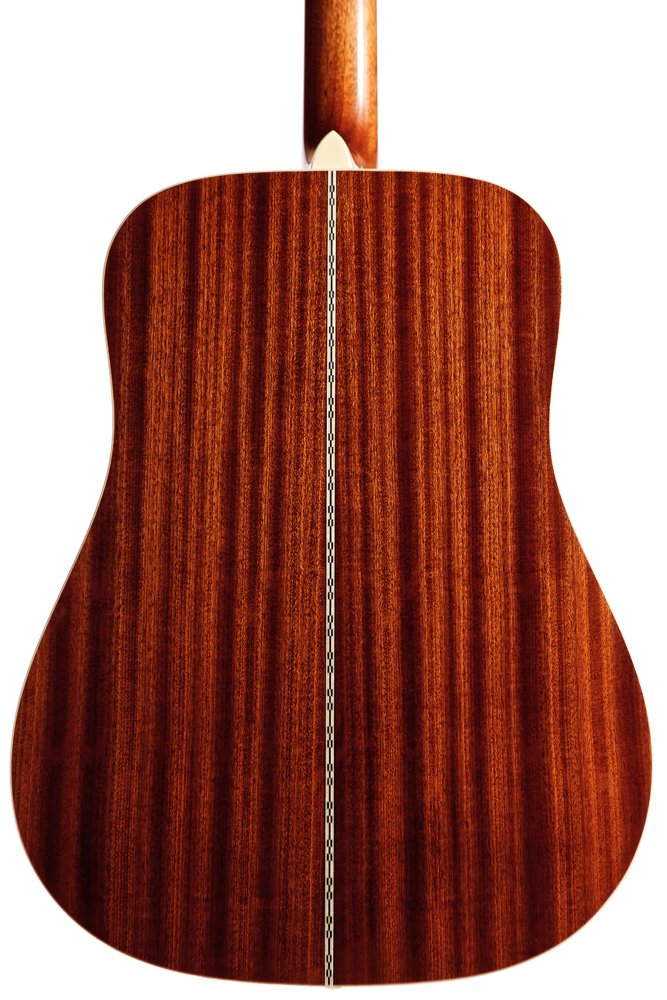 Amazon.co.jp: Gary E. Levinson アコースティックギター LD Missouri