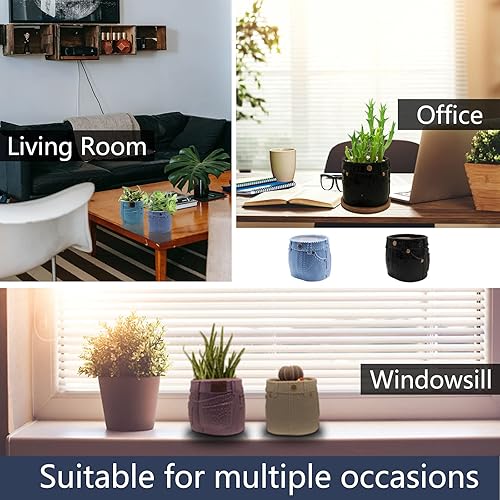 Miniatura 4 de Macetas pequeñas para suculentas de 4 pulgadas con platillos, agujero de drenaje, flor de cactus, maceta pequeña de cerámica para interiores, con